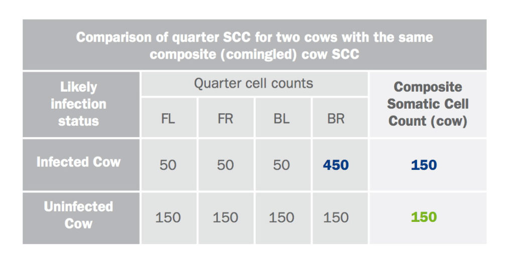 Somatic Cell Count (SCC) and Mastitis in Cattle