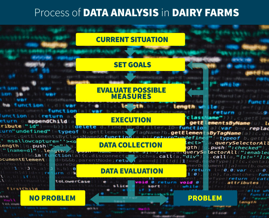 Process of data analysis in dairy farms affected with bovine mastitis
