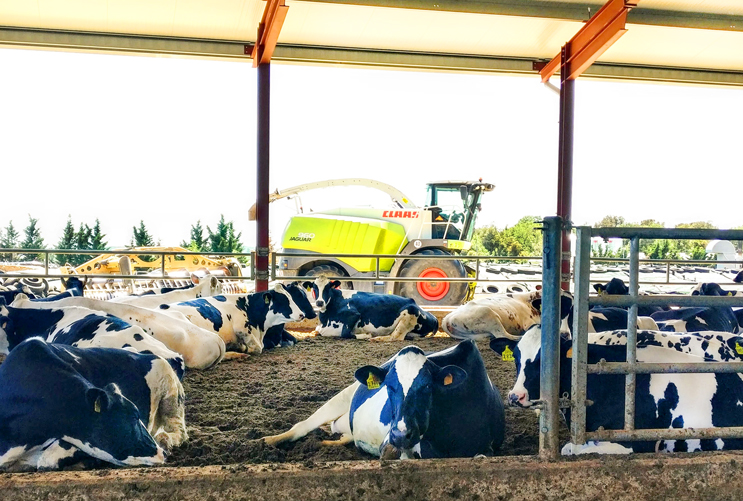Environmental control: Preparing your herd against Bovine Mastitis during lactation.