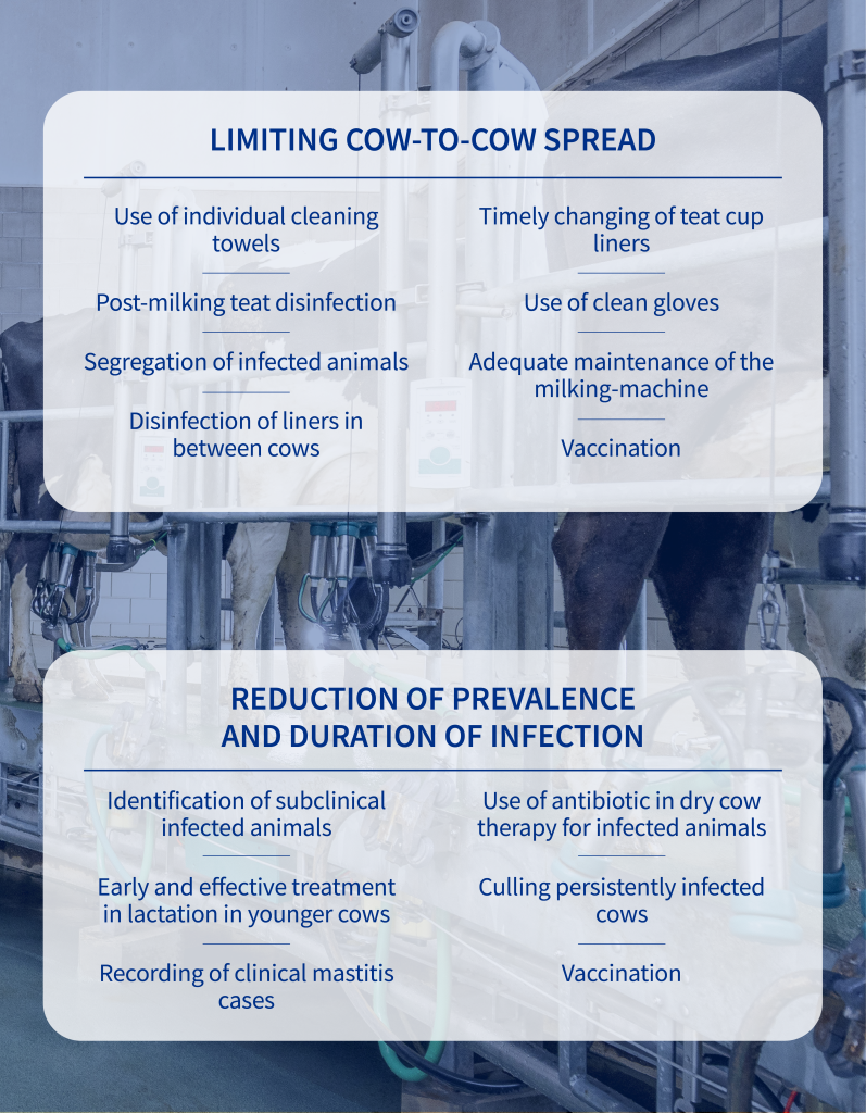 Key practices recommended to prevent S.aureus mastitis 