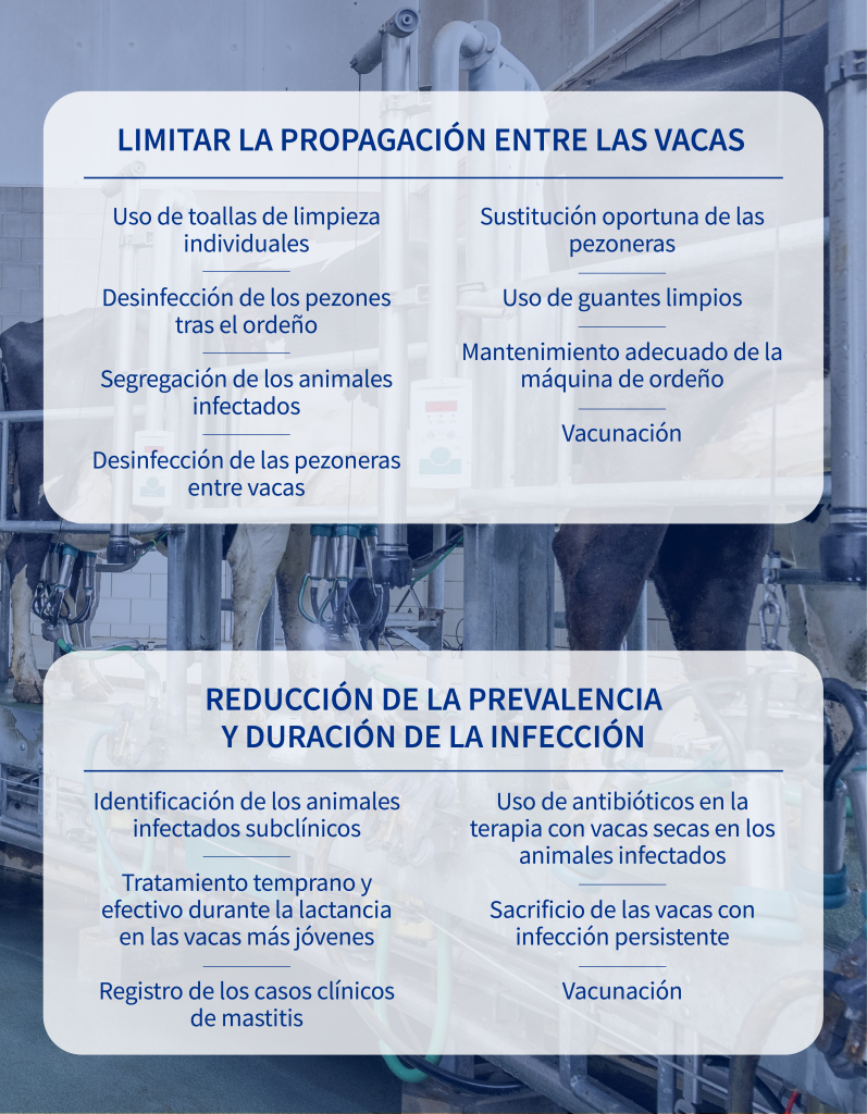 Prevención mastitis por S. aureus