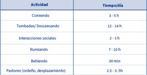 Actividades vacas lactantes