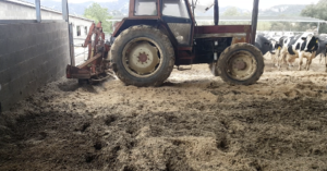 Cow bedding maintenance