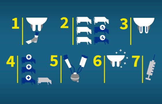 7-point-mastitis-control-plan-S-B
