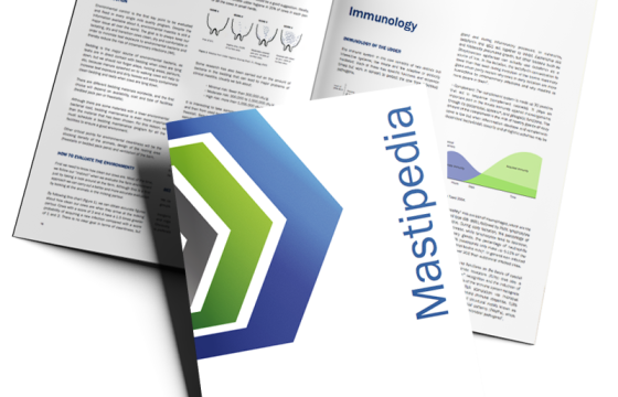 Mastipedia-download-mockup-nobg