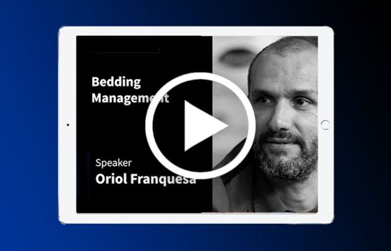 bedding-management-environmental-mastitis
