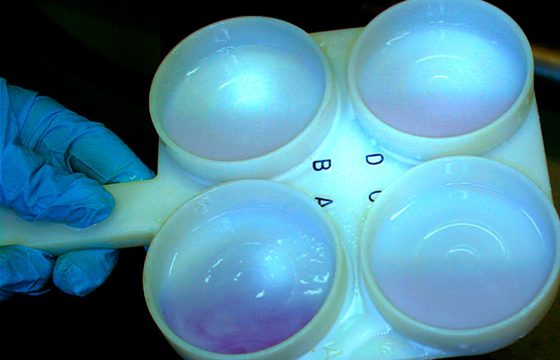 California Mastitis Tests (CMT) are relatively insensitive and can generally not detect SCC below 350 to 400,000 cells/ml
