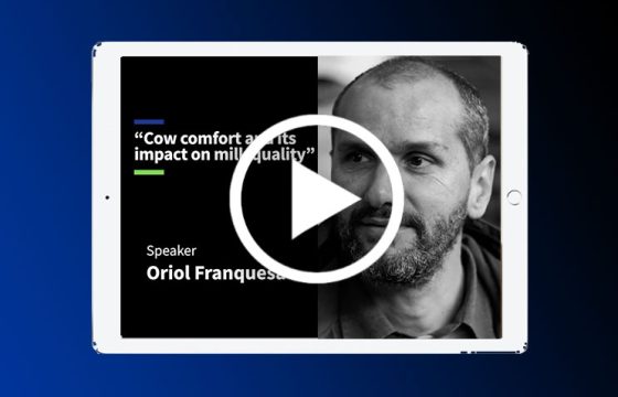 cow-comfort-mastitis-quick-talks