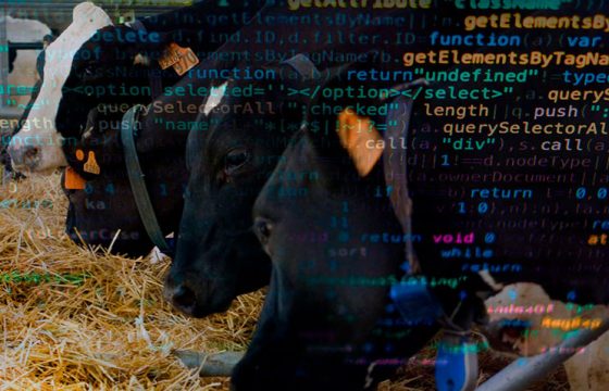 data-analysis-bovine-mastitis5-B