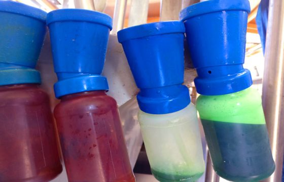 Dip-cups cleaned. Disinfectant may be inactivated and can transmit pathogens causing mastitis in dairy cows.