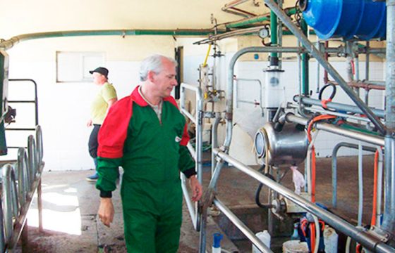 mastitis-dairy-farm