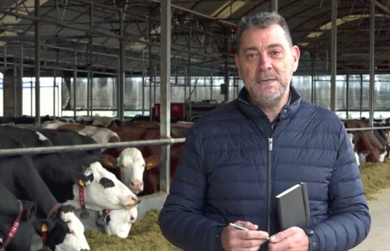 mastitis-prevention