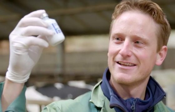 mastitis-vaccination-farm