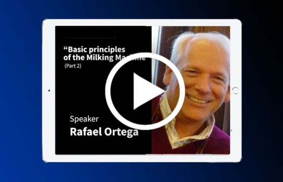 play_ipad_rafael_ortega_part2