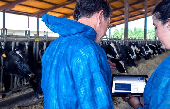 startcost-mastitis-vaccination-S
