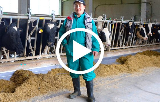 Testimonial, reduction of SCC in milk - Bovine Mastitis Vaccination