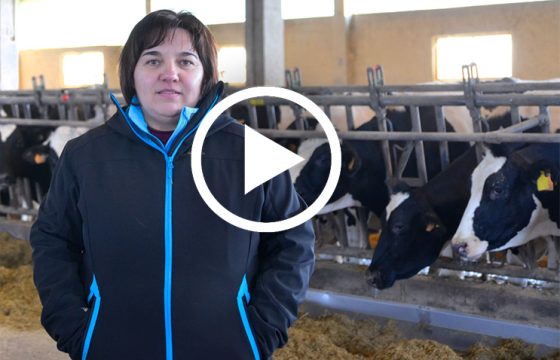 testimonial-bovine-mastitis-vaccination-economical-benefits