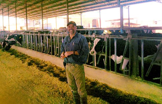 testimonial-bovine-mastitis-vaccination-farm-B