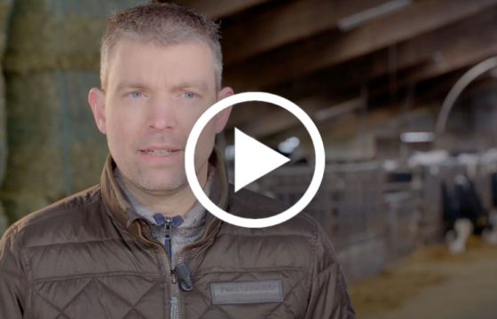 vaccination-control-mastitis